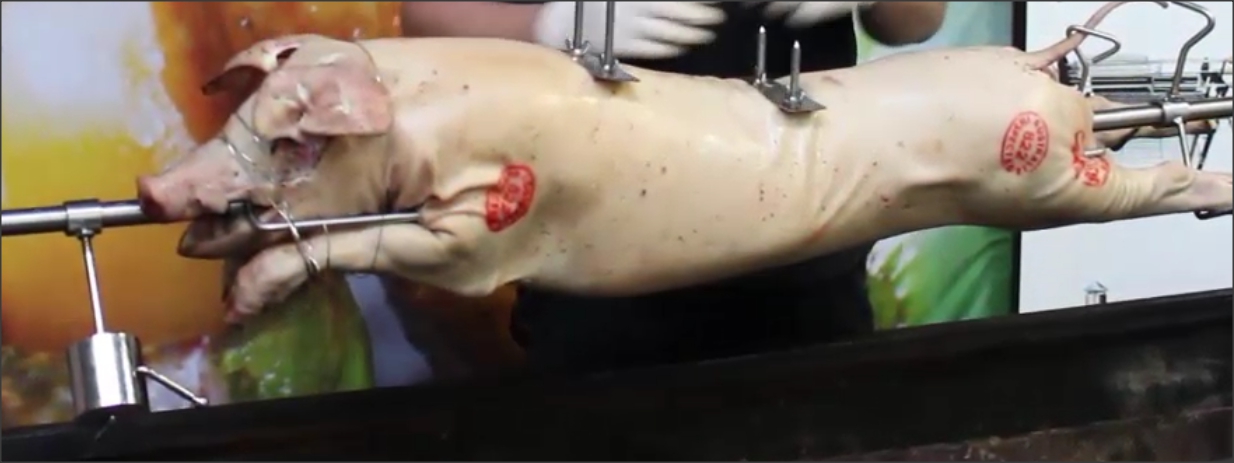 This picture shows a pig on the spit before its was cooked